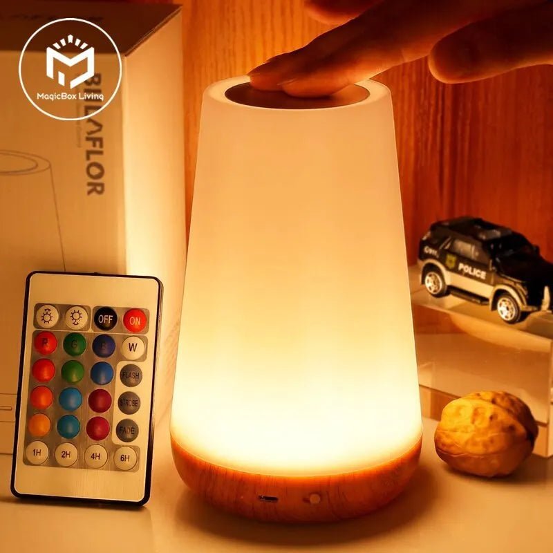 13 Color Changing Night Light Remote Control Touch USB Rechargeable RGB Night Lamp Dimmable Lamp Portable Table Bedside Lamp ShopOnlyDeal