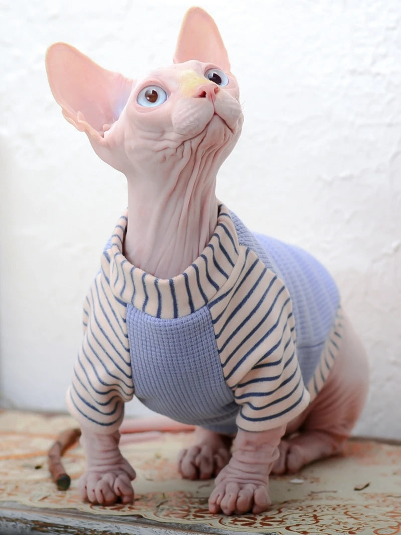 Winter Purple Sphinx Cat Clothes Pet Hoodies Plus Velvet Kittens Jumpsuit Warm Striped Cat Costume For Sphynx Autumn Spring ShopOnlyDeal