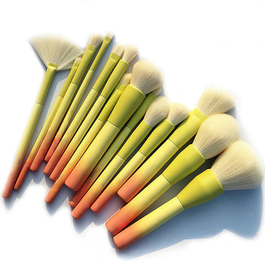 Pro Gradient Color 14pcs Makeup Brushes Set Soft Cosmetic Powder Blending Foundation Eyeshadow Blush Brush Kit Make Up Tools ShopOnlyDeal