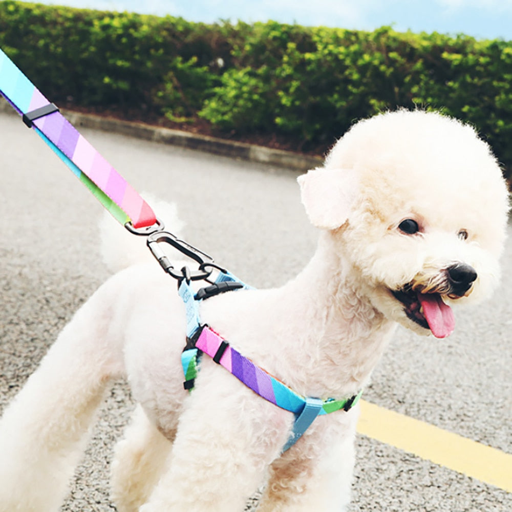 Pet Dog Harness Adjustment Colorful  Four Sizes Easy Control Handle for Small Medium Large Dogs Training Walking Vest Harness ShopOnlyDeal