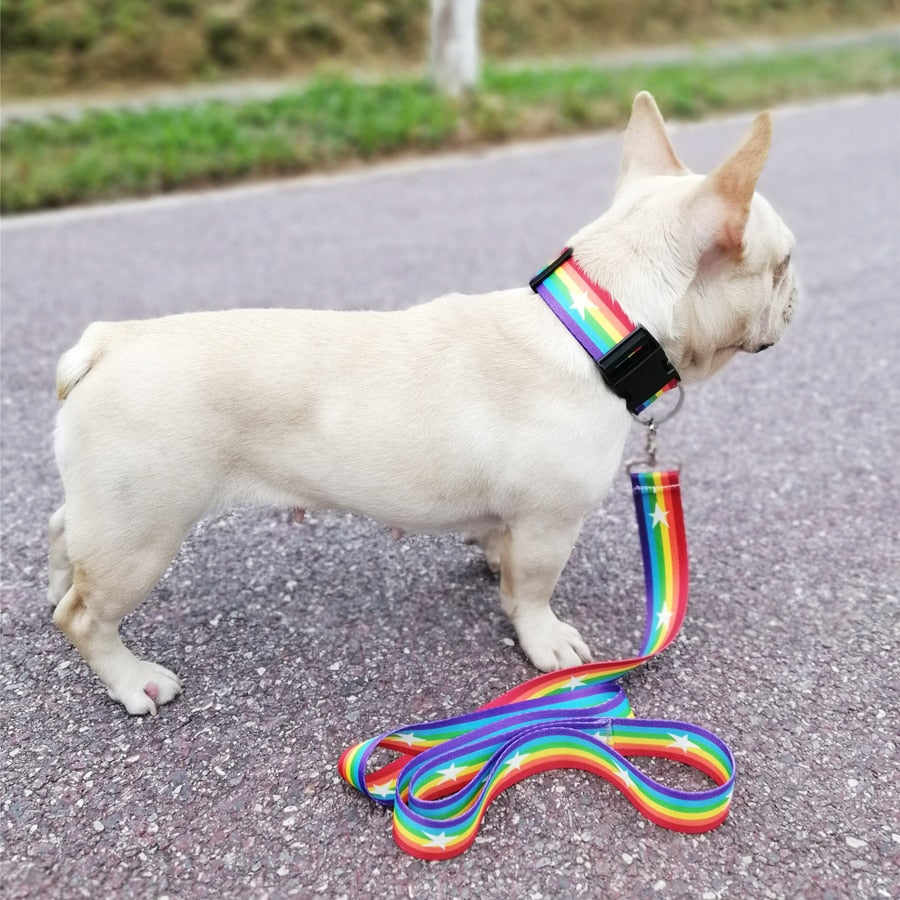 Pet Product For Dog Pet Collar Leash Nylon High Quality Multiple Series Colorful Fashion New Design Dog Collar Adjustable ShopOnlyDeal