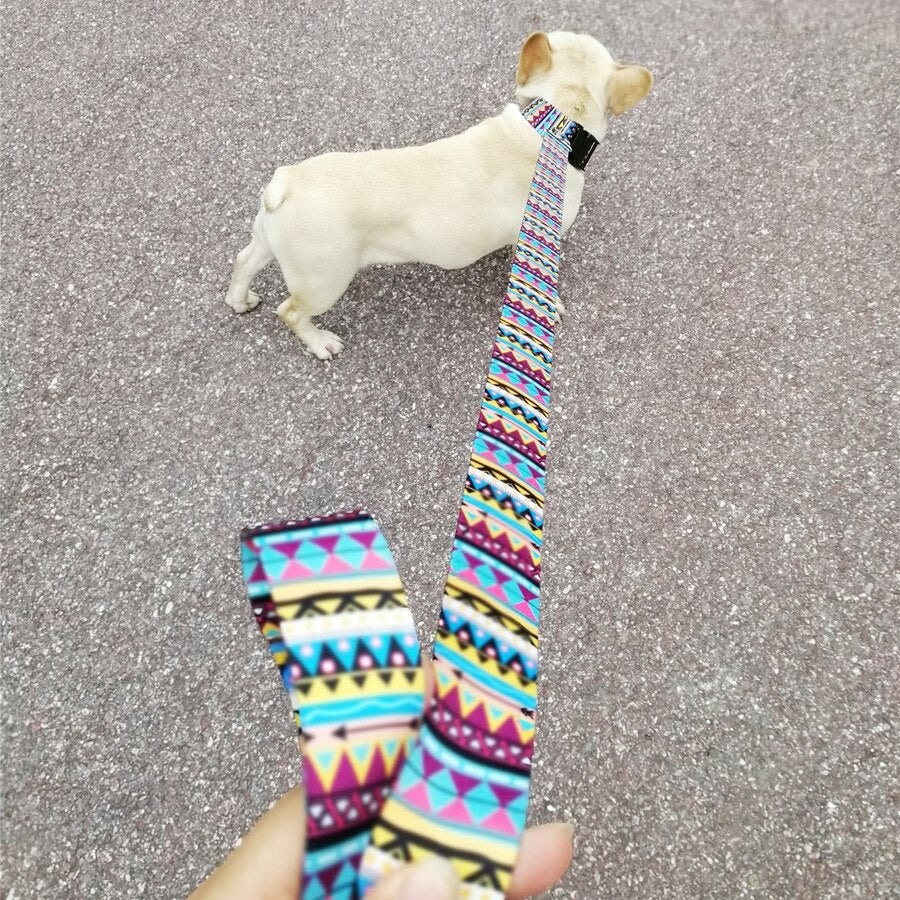 Pet Product For Dog Pet Collar Leash Nylon High Quality Multiple Series Colorful Fashion New Design Dog Collar Adjustable ShopOnlyDeal