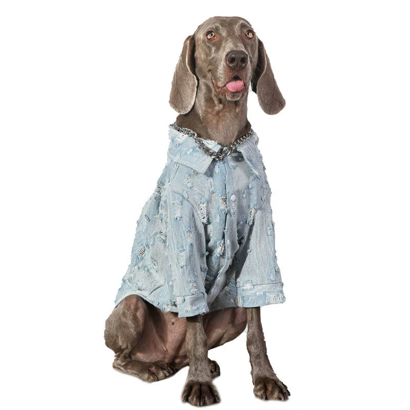 Dog Clothes Spring and Autumn Large Dog Pet Trendy Denim Wear Golden Retriever Labrador Anti-Lint Clothes Winter ShopOnlyDeal