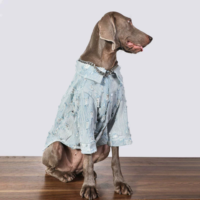 Dog Clothes Spring and Autumn Large Dog Pet Trendy Denim Wear Golden Retriever Labrador Anti-Lint Clothes Winter ShopOnlyDeal