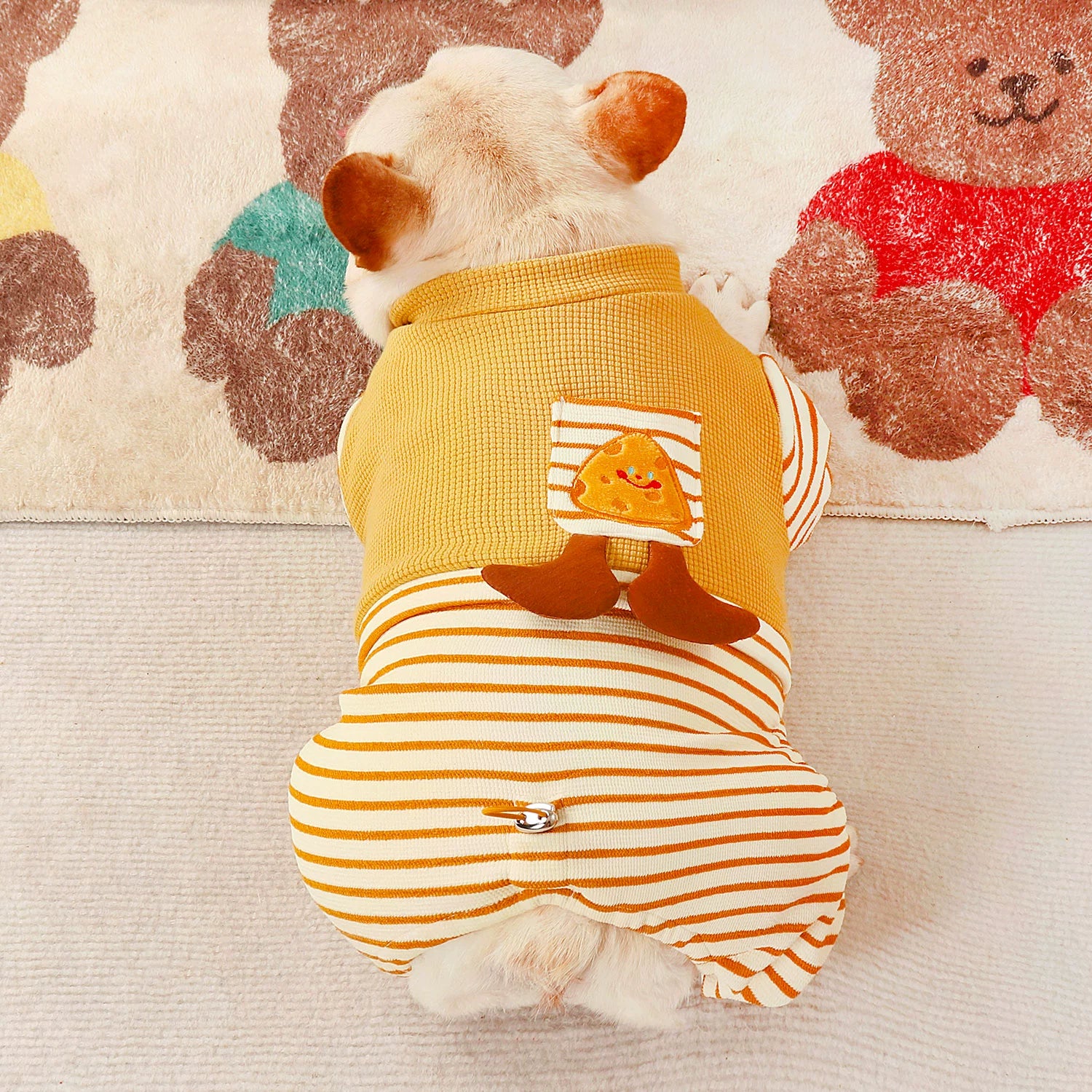 Pug Schnauzer Jarre Aero Bull Special Autumn Dog Clothes ShopOnlyDeal