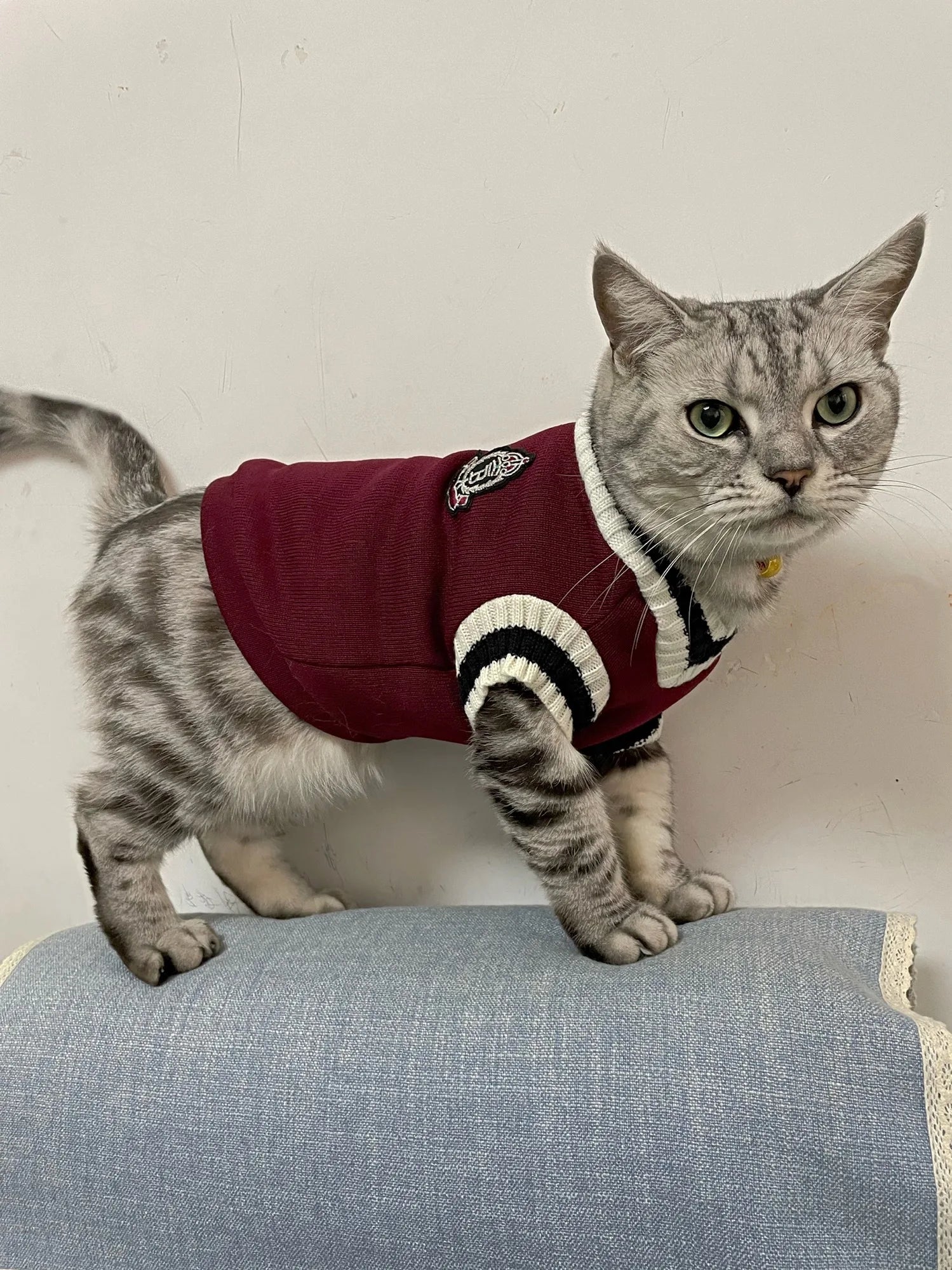 Cat Clothes Pet Solid Costume | Autumn Winter Jacket | Christmas Sweater for Small Dog Cats | Kitten Clothing Puppy Vest | Kitty Outfits ShopOnlyDeal