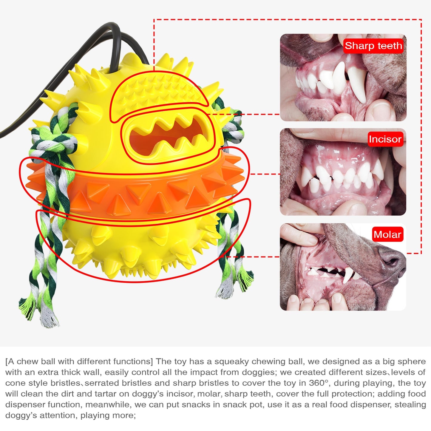 Pet Dog Toys Double Suction Cup Tug Chew Toy Dogs Push Ball Pet Tooth Cleaning Dog Toothbrush for Puppy Large Dog Molar Bite Toy ShopOnlyDeal