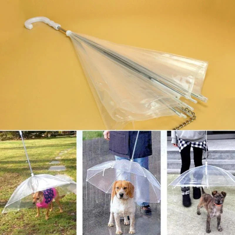 Creative Teddy Poodle Small Dogs Leading Umbrellas | Walking Dogs Traveling Out | Waterproof Poncho Pet Products ShopOnlyDeal