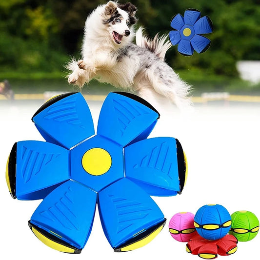 Dog Toys Magic Funny Pet Toy | Flying Saucer Outdoor Dog Training Toy | Pelota Perro Dogs Accessories | Futurism Saucer Ball ShopOnlyDeal