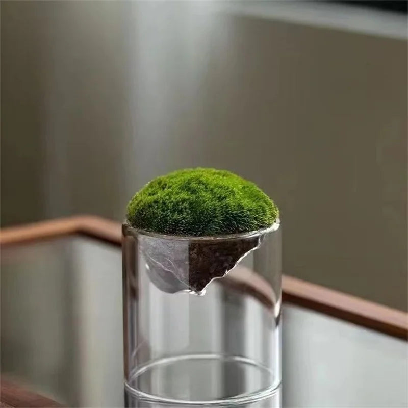 Creative Mountain Shaped Moss Glass Bottle Moss Vase Hydroponic Fleshy Micro Landscape Glass Terrarium Bonsai Home Decor ShopOnlyDeal