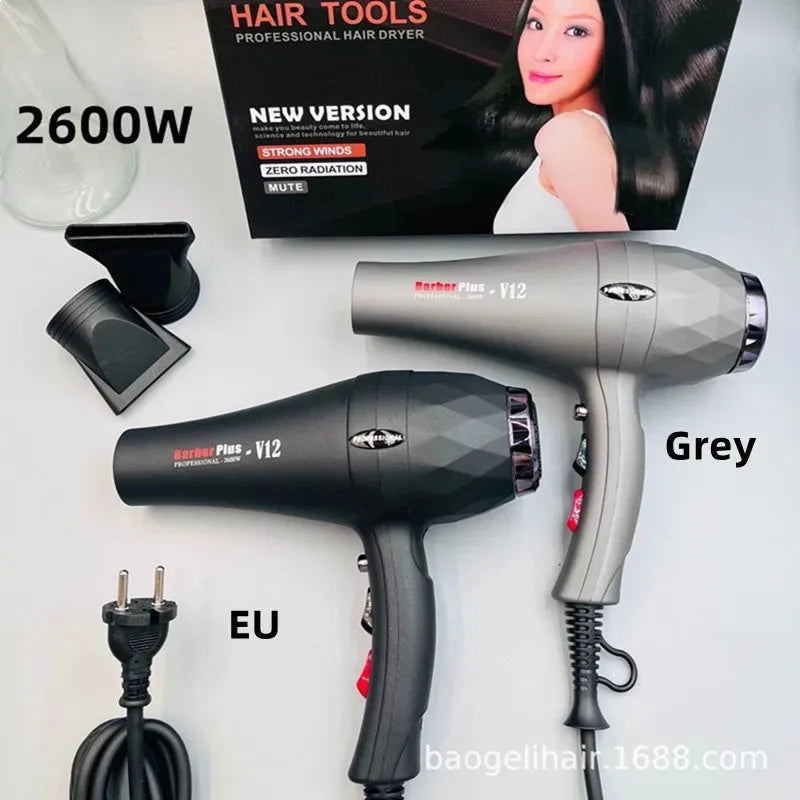 Professional Fast Drying Hair Dryer 2600w High-Power Negative Ion Hair Salon Household Constant Temperature Thermoelectric Hair ShopOnlyDeal