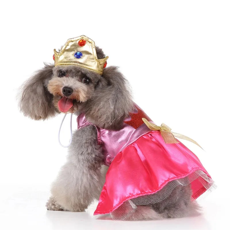 Pet Clothes Wizard Funny Universal Puppy Clothing Autumn and Winter Dog Clothing ShopOnlyDeal