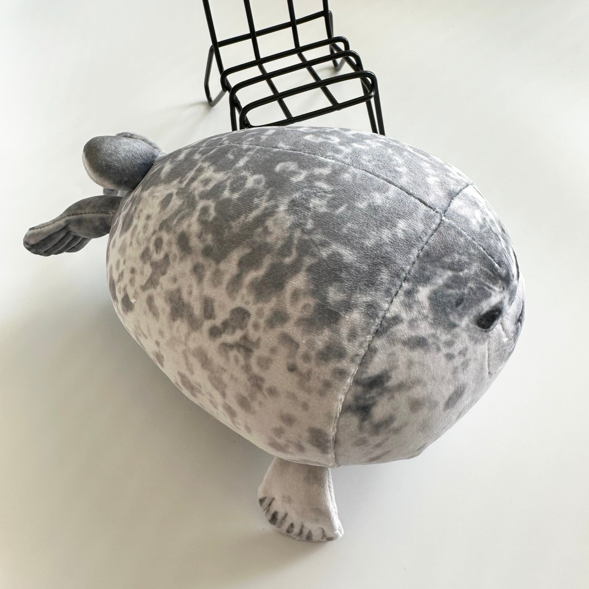 Seal Pillow Kaiyukan 20cm Kawaii Popular Soft Seal Doll Aquarium Plush Toy ShopOnlyDeal