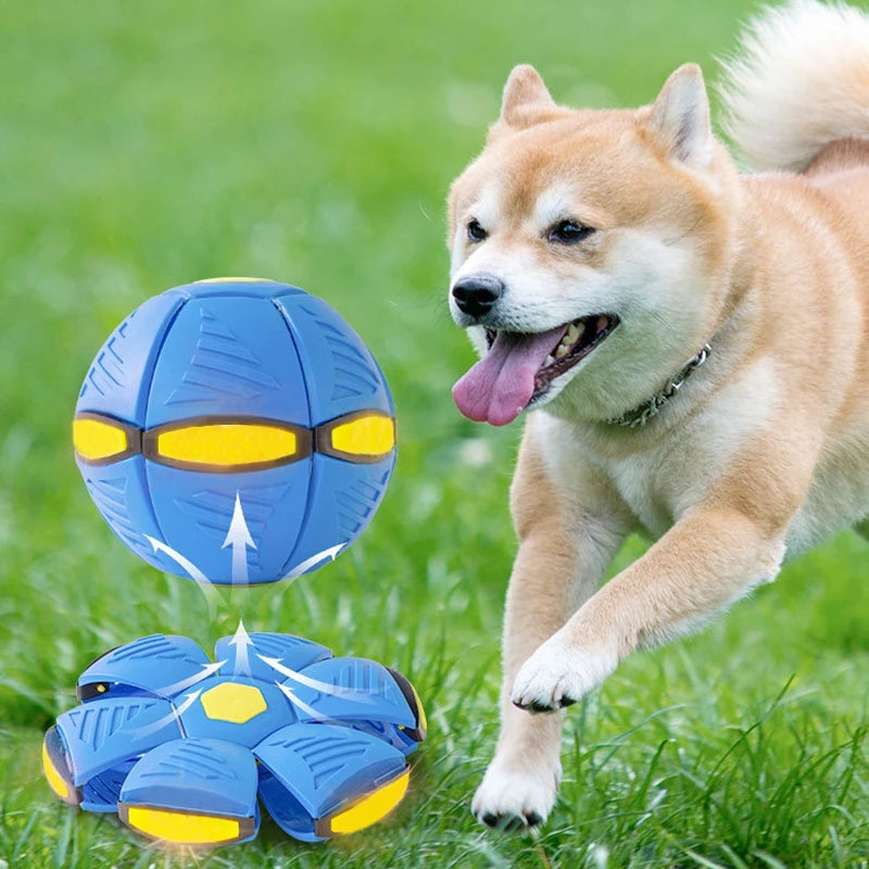 Dog Toys Magic Funny Pet Toy | Flying Saucer Outdoor Dog Training Toy | Pelota Perro Dogs Accessories | Futurism Saucer Ball ShopOnlyDeal