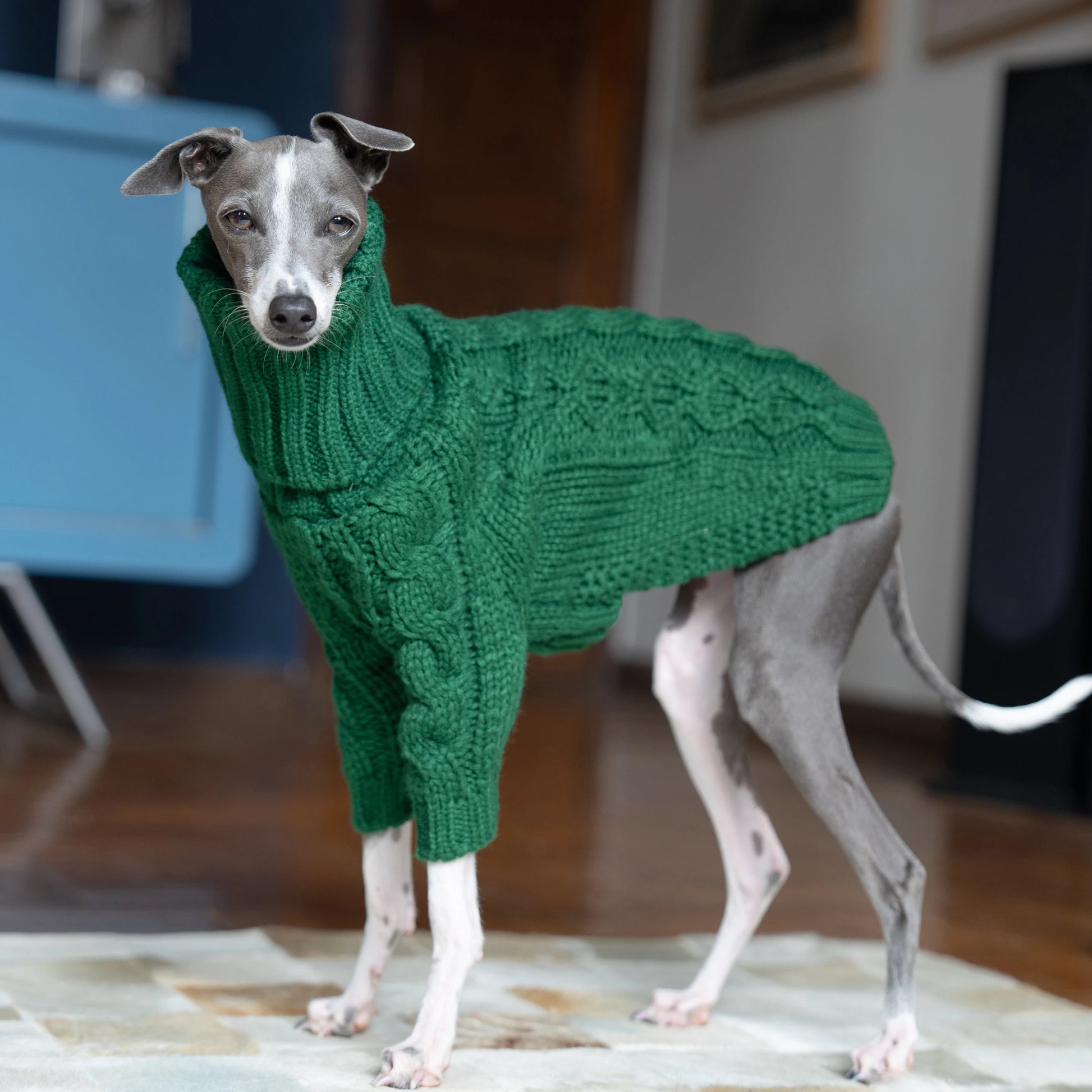 Green turtleneck thickened pet sweater Italian greyhound whippet two-legged knitted dog clothes ShopOnlyDeal