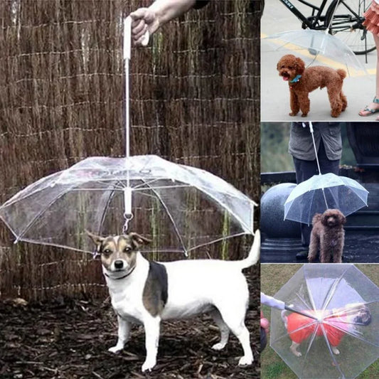 Creative Teddy Poodle Small Dogs Leading Umbrellas | Walking Dogs Traveling Out | Waterproof Poncho Pet Products ShopOnlyDeal