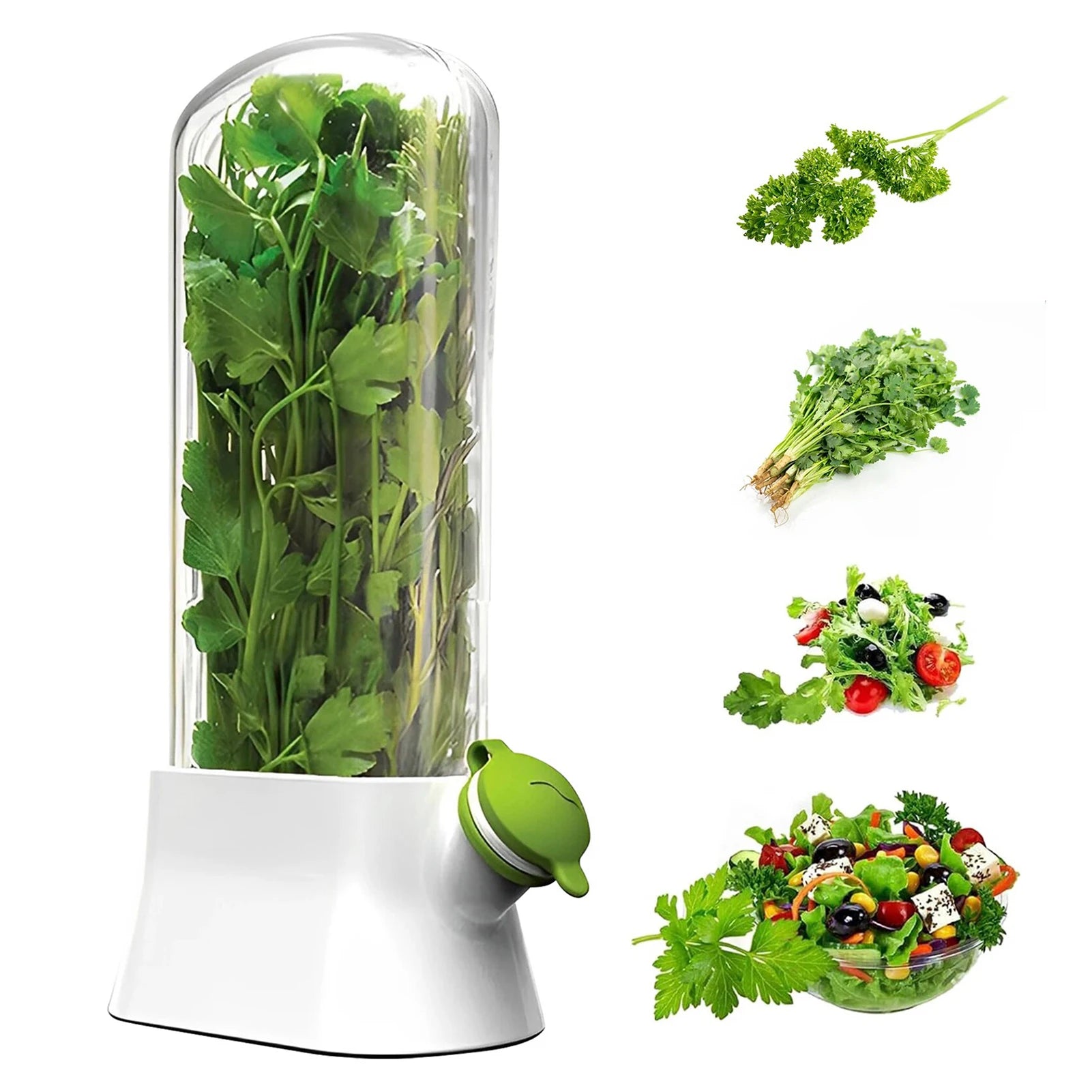 Refrigerator Herb Crisper Saver Pod Container Vegetable Preserving Bottle Keep Herb/Cilantro/Mint/Parsley/Asparagus Fresh Green ShopOnlyDeal