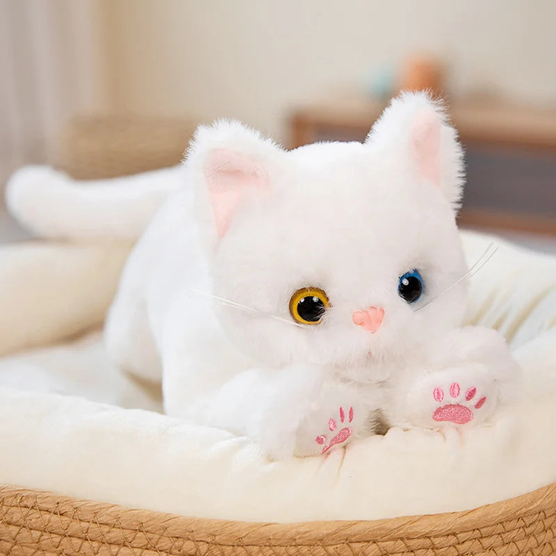 53CM Cute Simulated Cat Doll Plush Toy | Stuffed Soft Animal Plush White Gray Kitten Pillow | Kids Girls Birthday Gift | Pet Toys Decoration ShopOnlyDeal