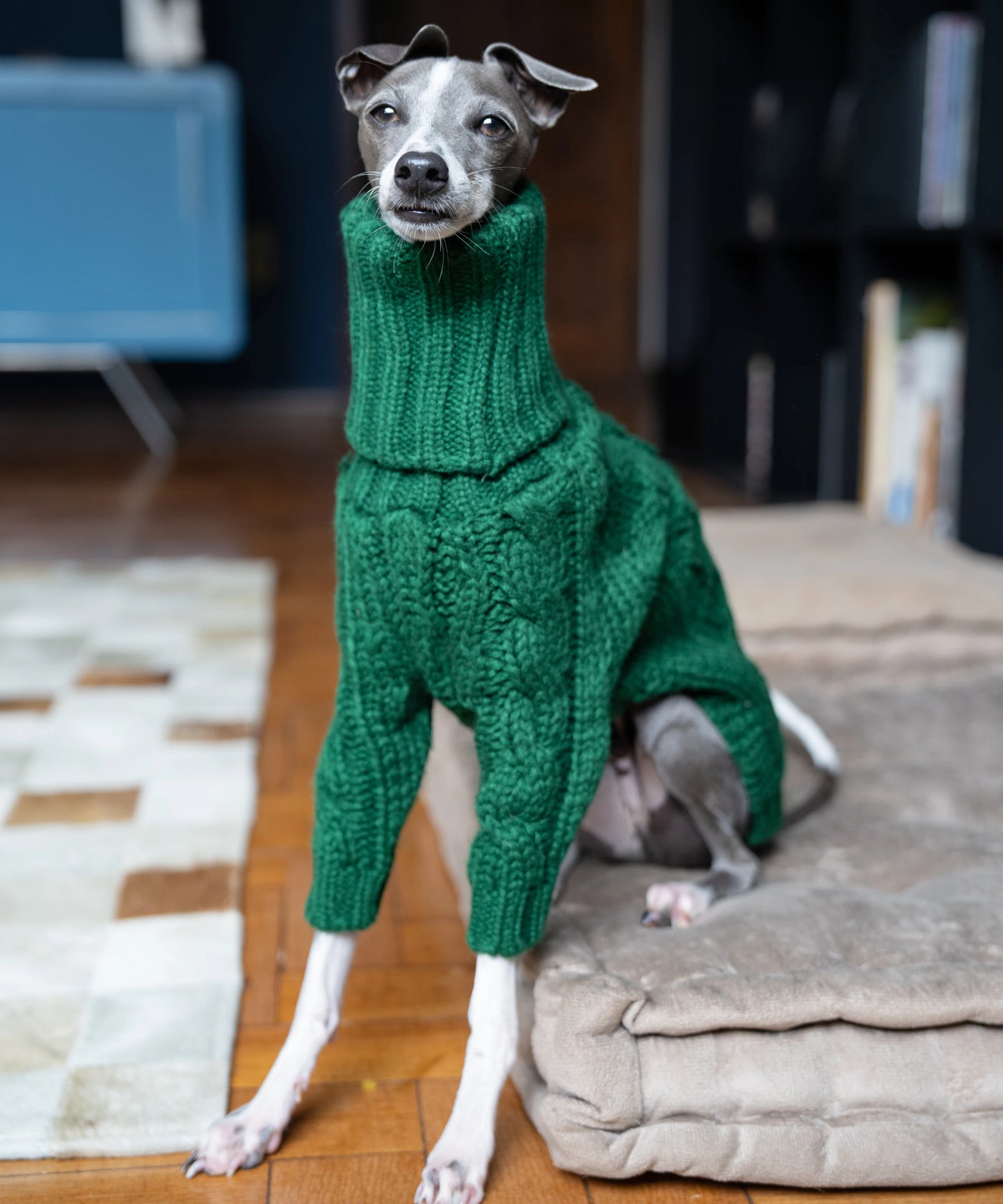 Green turtleneck thickened pet sweater Italian greyhound whippet two-legged knitted dog clothes ShopOnlyDeal