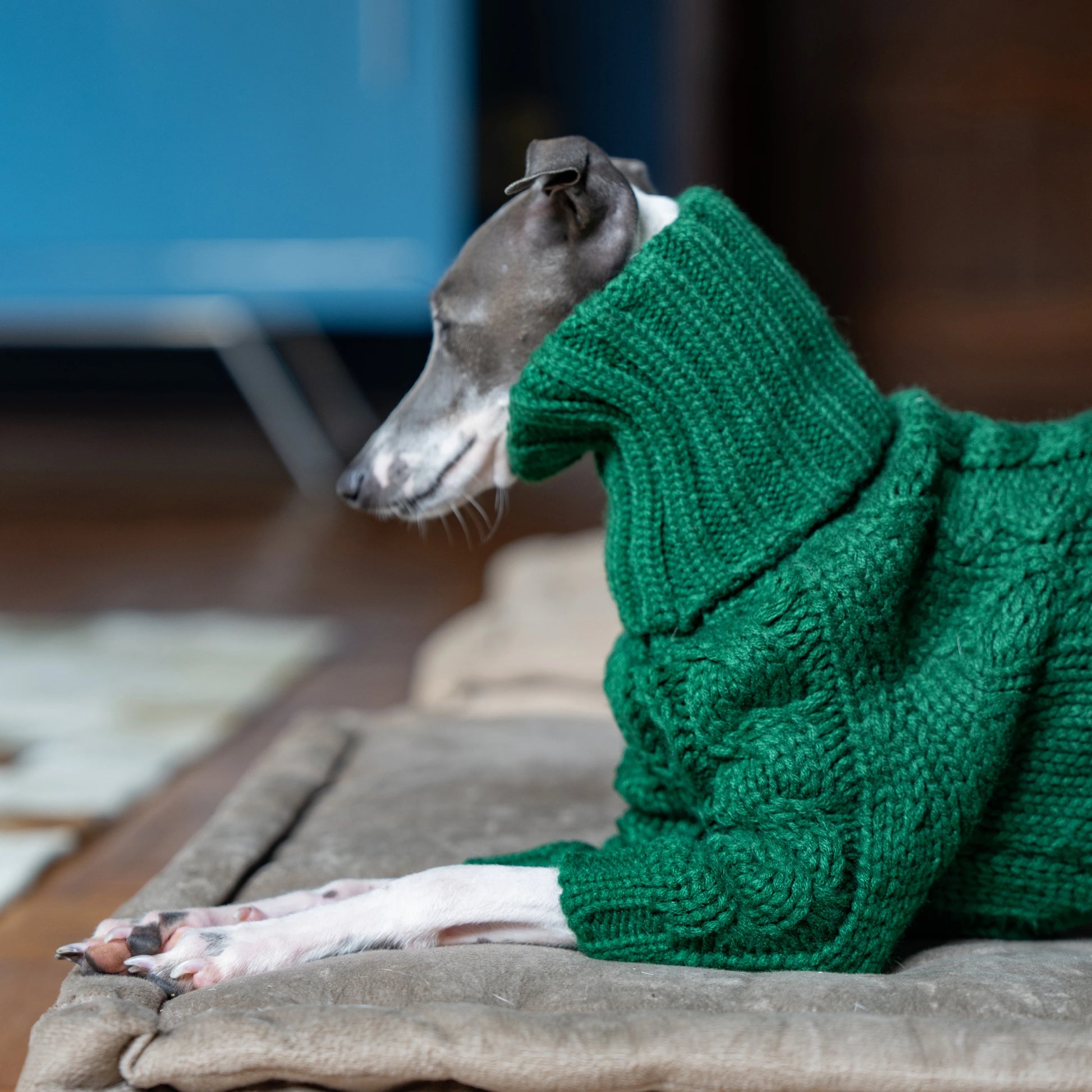 Green turtleneck thickened pet sweater Italian greyhound whippet two-legged knitted dog clothes ShopOnlyDeal