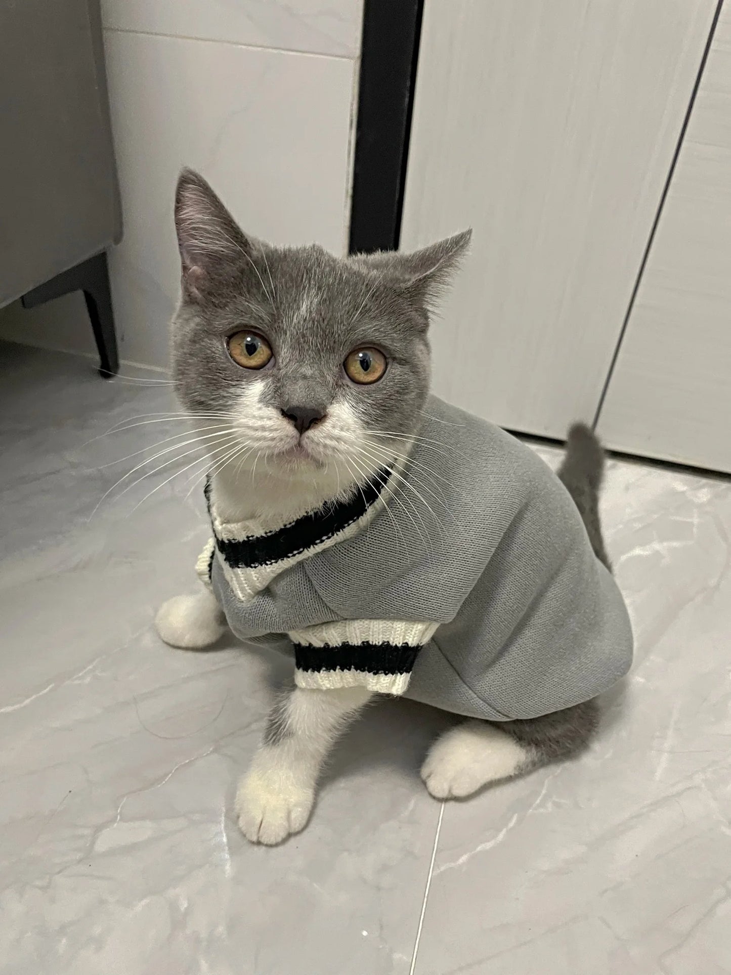 Cat Clothes Pet Solid Costume | Autumn Winter Jacket | Christmas Sweater for Small Dog Cats | Kitten Clothing Puppy Vest | Kitty Outfits ShopOnlyDeal