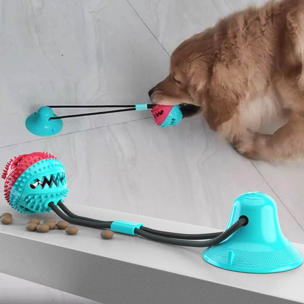 Pet Dog Toys Double Suction Cup Tug Chew Toy Dogs Push Ball Pet Tooth Cleaning Dog Toothbrush for Puppy Large Dog Molar Bite Toy ShopOnlyDeal