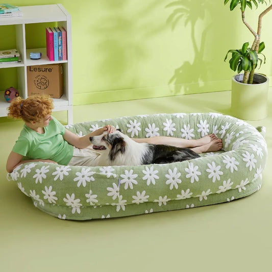 Lesure Human Dog Bed for Adult - Calming Human Size Dog Bed with Egg Foam Supportive Mat and Storage Pocket, Cute Modern Pet ShopOnlyDeal