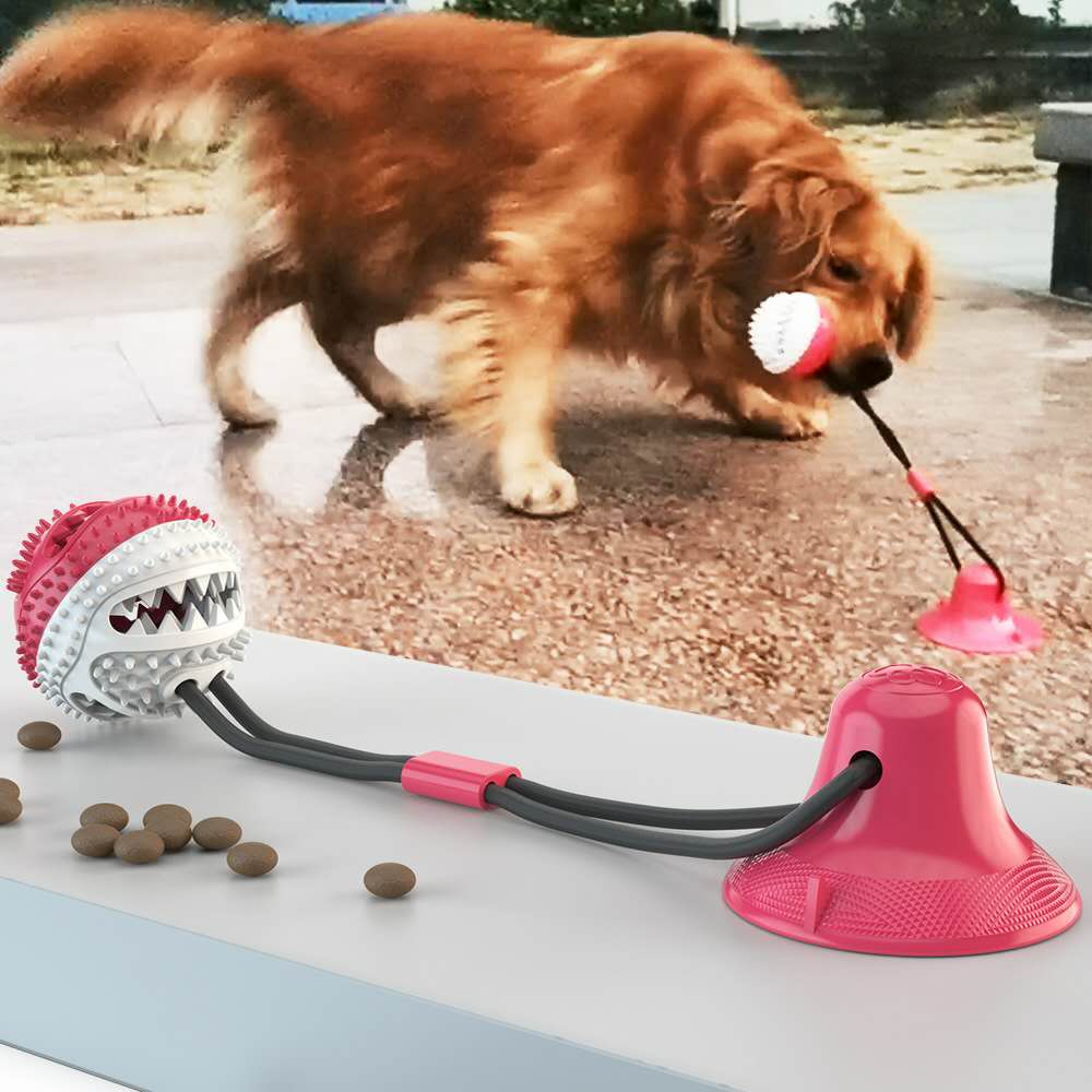 Pet Dog Toys Double Suction Cup Tug Chew Toy Dogs Push Ball Pet Tooth Cleaning Dog Toothbrush for Puppy Large Dog Molar Bite Toy ShopOnlyDeal