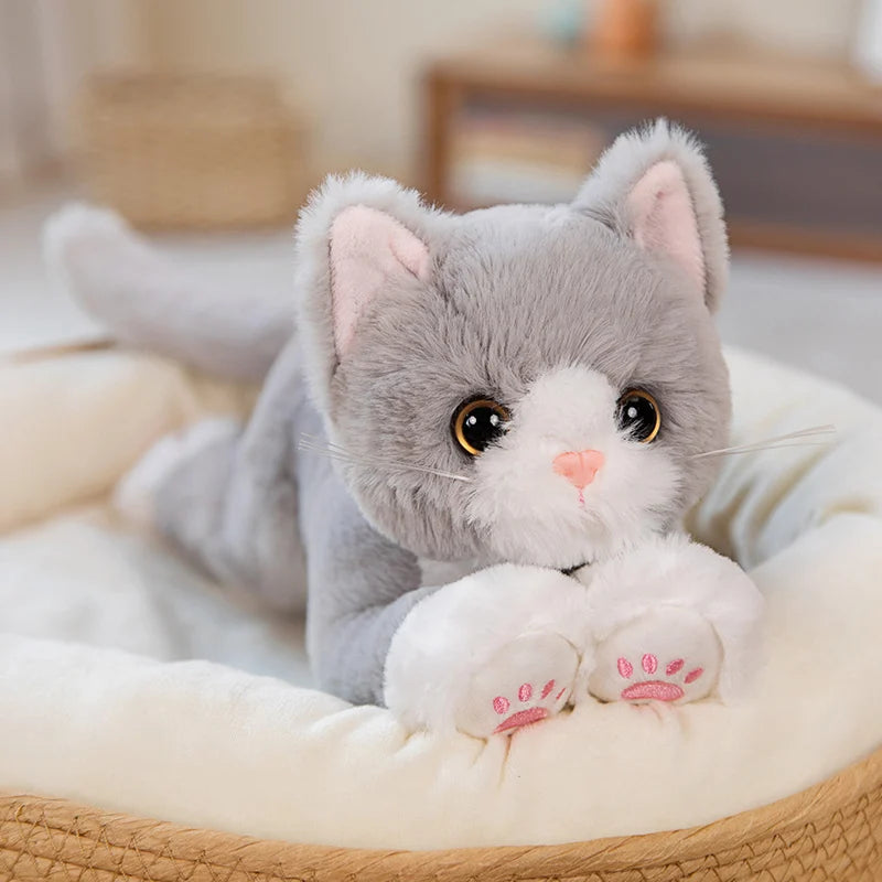 53CM Cute Simulated Cat Doll Plush Toy | Stuffed Soft Animal Plush White Gray Kitten Pillow | Kids Girls Birthday Gift | Pet Toys Decoration ShopOnlyDeal