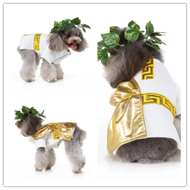 Pet Clothes Wizard Funny Universal Puppy Clothing Autumn and Winter Dog Clothing ShopOnlyDeal