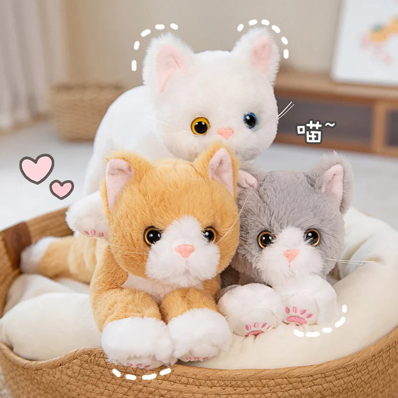 53CM Cute Simulated Cat Doll Plush Toy | Stuffed Soft Animal Plush White Gray Kitten Pillow | Kids Girls Birthday Gift | Pet Toys Decoration ShopOnlyDeal