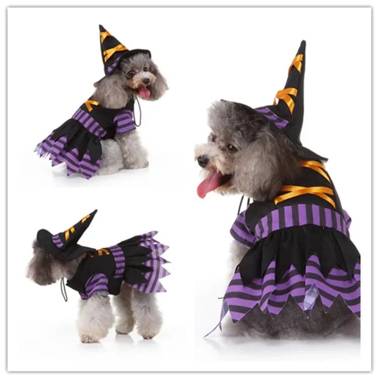 Pet Clothes Wizard Funny Universal Puppy Clothing Autumn and Winter Dog Clothing ShopOnlyDeal