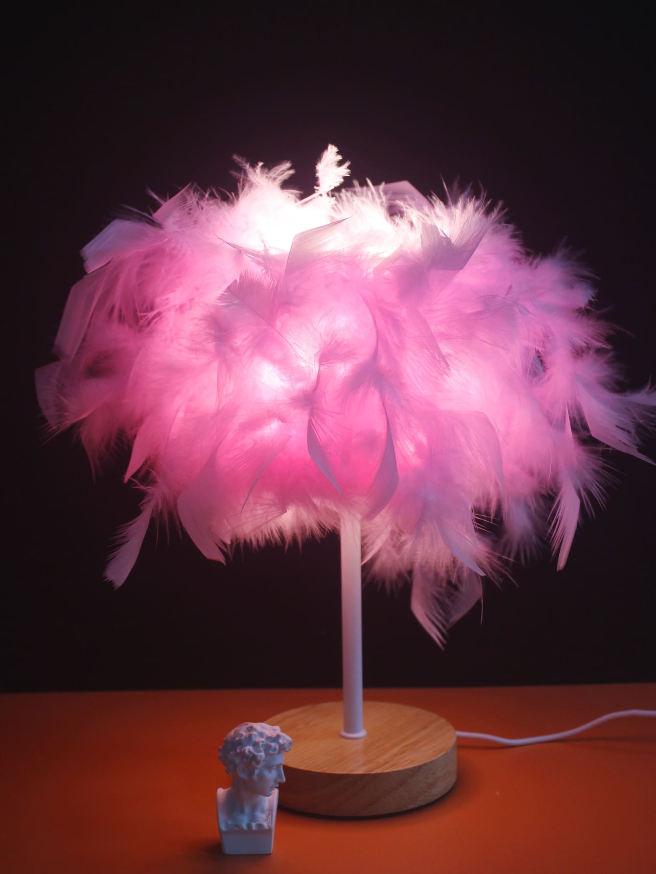 Pink Feather Night Light, Home decor, Warm Lightness Table Lamp For Home Decor ShopOnlyDeal