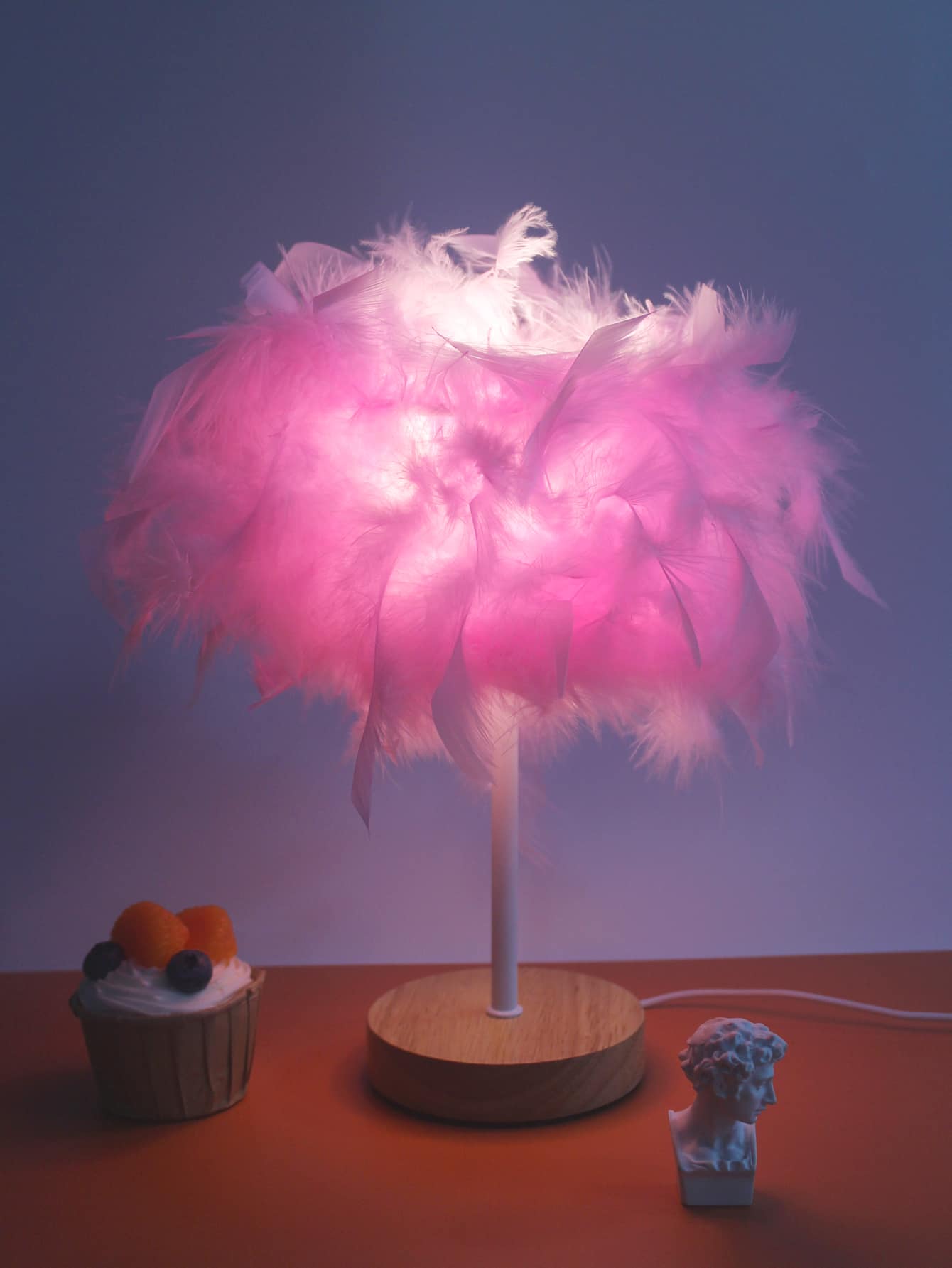 Pink Feather Night Light, Home decor, Warm Lightness Table Lamp For Home Decor ShopOnlyDeal