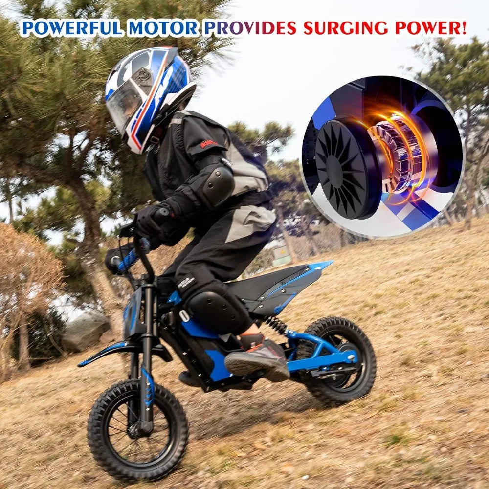 Electric Dirt Bike,300W Electric Motorcycle,15.5MPH & 9.3 Miles Long-Range,3-Speed Modes Motorcycle ShopOnlyDeal