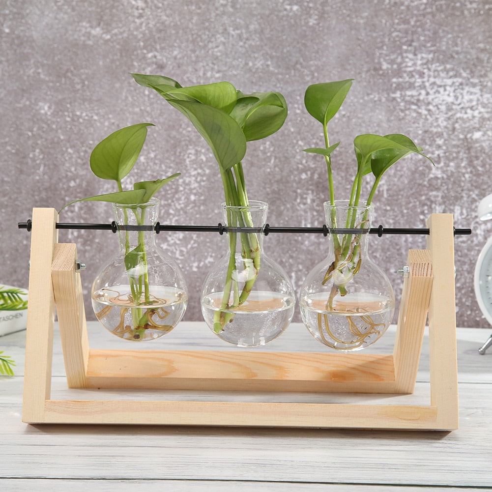 Hydroponic Plant Transparent Vase Glass Wood Vases Glass Flower Vase Plant Bonsai Hanging Pots Home Garden Decor Wedding Decoration ShopOnlyDeal