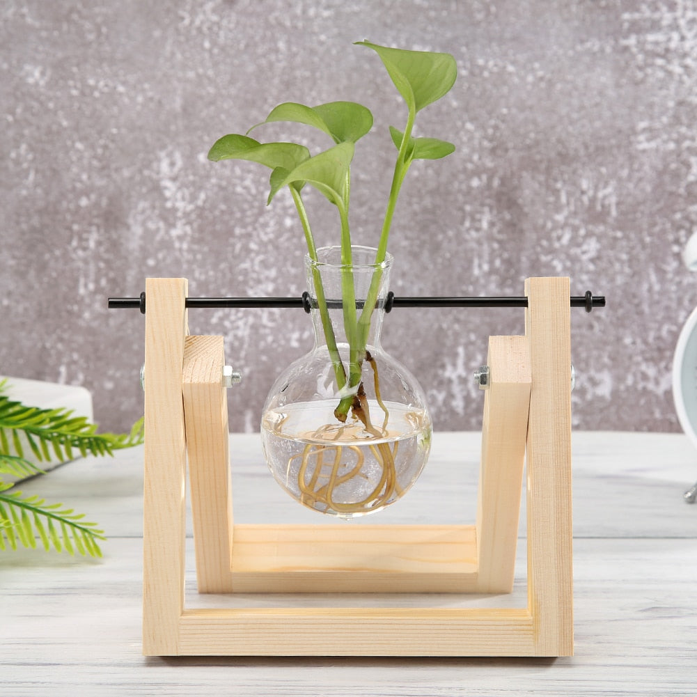 Hydroponic Plant Transparent Vase Glass Wood Vases Glass Flower Vase Plant Bonsai Hanging Pots Home Garden Decor Wedding Decoration ShopOnlyDeal