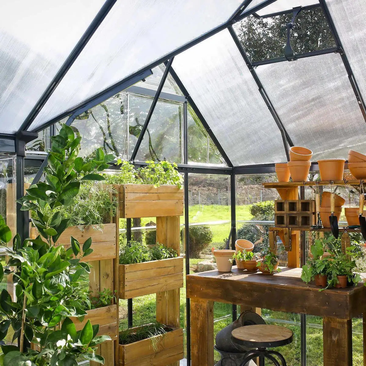 Orangery 10'x12' Greenhouse and Solarium ShopOnlyDeal