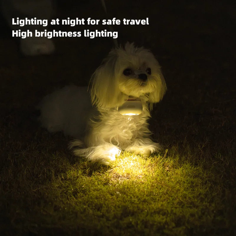 6 Modes Dog Lights for Night Walking Lovely Social Projector Lamp LED Dog Collar Light Dog Walking Light Waterproof ShopOnlyDeal