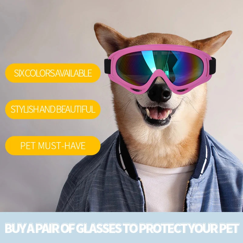 New Pet Glasses UV Protection Goggles For Cats And Dogs Sun Protection Against Wind And Sand Fashion Glasses ShopOnlyDeal